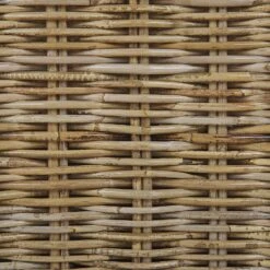 ARDEA - Tuinstoel Set Van 2 - Natuurlijk - Rotan -Geselecteerde Tuinmeubelwinkel 0064a3e8646a4209a87160fdb092a332