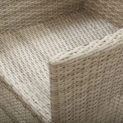 VidaXL - Tuinstoelen - Beige - Poly Rattan - 2 Stuks - Met Kussens -Geselecteerde Tuinmeubelwinkel 0084df248cdb4a06af6329a683e810bf