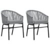 VidaXL - Tuinstoelen - Grijs - Polyetheen - 2 Stuks -Geselecteerde Tuinmeubelwinkel 1000163238