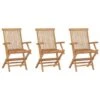 VidaXL - Tuinstoelen - 3 Stuks - Massief Teakhout - Inklapbaar 2 VidaXL - Tuinstoelen - 3 Stuks - Massief Teakhout - Inklapbaar -Geselecteerde Tuinmeubelwinkel 1000163248