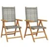 VidaXL - Tuinstoelen - Grijs - Acaciahout En Poly Rattan - 2 Stuks