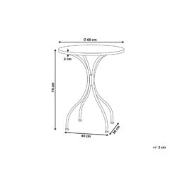 CARPINO - Tuintafel - Zwart - 60 Cm - Metaal -Geselecteerde Tuinmeubelwinkel 29de1e182a5a4755bf59c76d1b650580