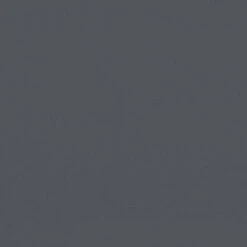 VidaXL - Tuinstoelen - Zwart - Grenenhout - 2 Stuks - Met Kussens -Geselecteerde Tuinmeubelwinkel 47da0cb133eb470b911d9c3c99643792