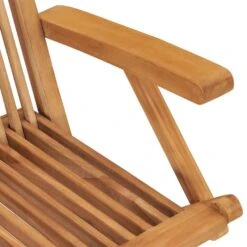 VidaXL - Tuinstoelen - Inklapbaar - Massief Teakhout - 2 Stuks -Geselecteerde Tuinmeubelwinkel 601d4c8a597e4ddcad52e26721eda95e