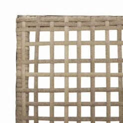 VidaXL - Tuinstoel - Beige - Poly Rattan - 53 X 60 X 85cm -Geselecteerde Tuinmeubelwinkel 89de3a0661c2416d9a1a17e3b4cf5323