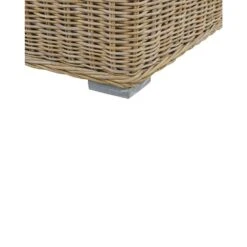 ARDEA - Tuinstoel Set Van 2 - Natuurlijk - Rotan -Geselecteerde Tuinmeubelwinkel ef517178463b4e7dbb53835a0e9a2830