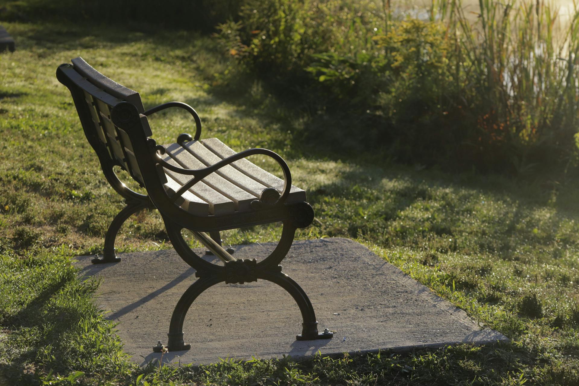 Geselecteerde Tuinmeubelwinkel -Geselecteerde Tuinmeubelwinkel pexels rose wang 318816119 14364380